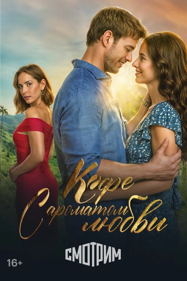 Постер Кофе с ароматом любви (2021)